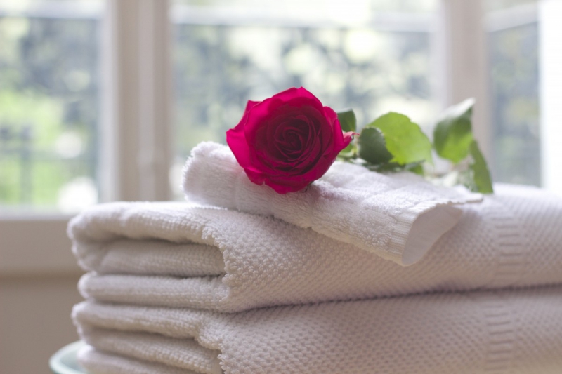 hotel-ARTIGNOSC SUR VERDON-min_towel_rose_clean_care_salon_spa_white_bath-731641